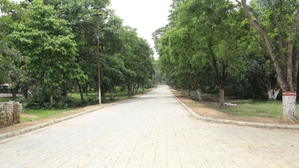 sbu campus